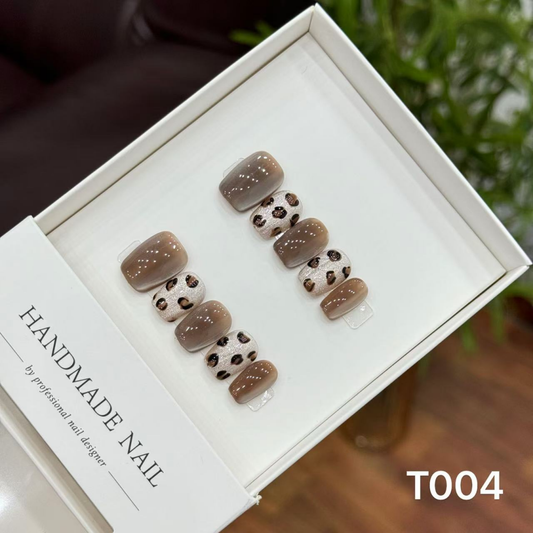 T004-T019--$2 Sweet and Spicy Series press on nails